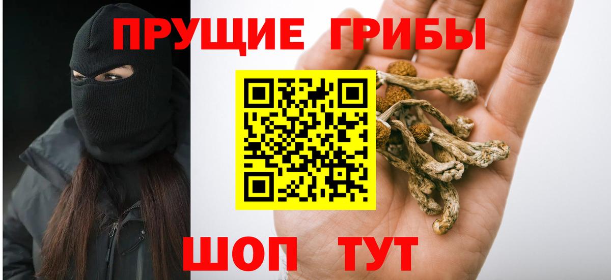 Галлюциногенные грибы мицелий Мариинск